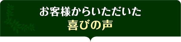 お客様からいただいた喜びの声